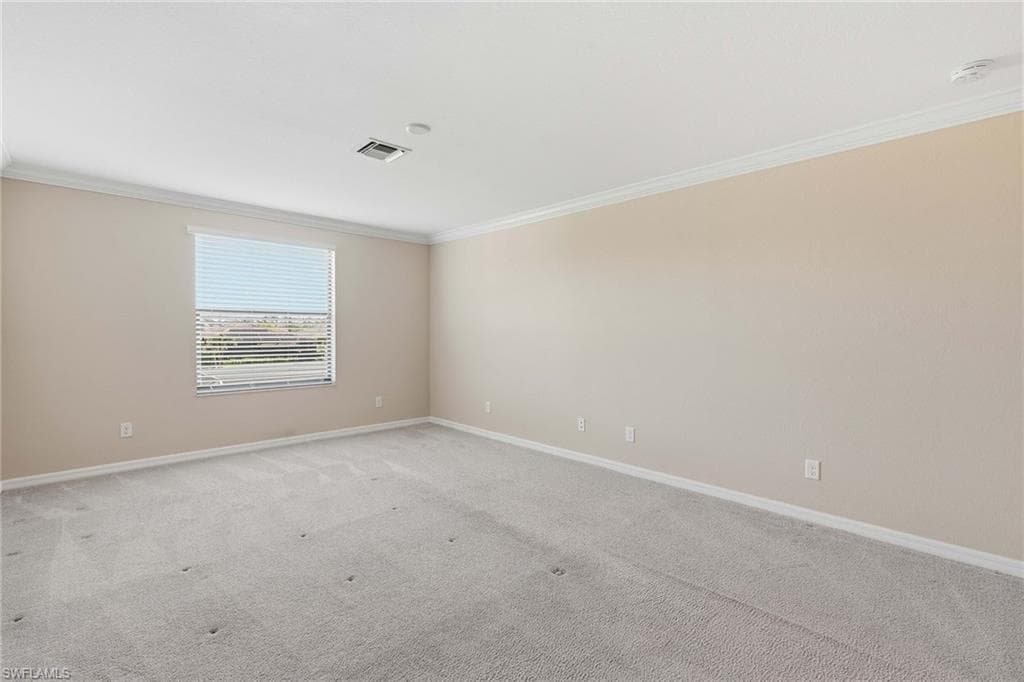 4381 Madagascar Palm WAY-27
