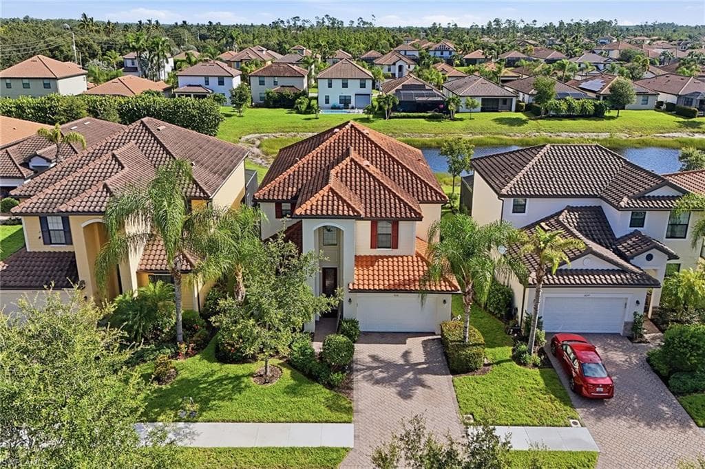 4381 Madagascar Palm WAY-2