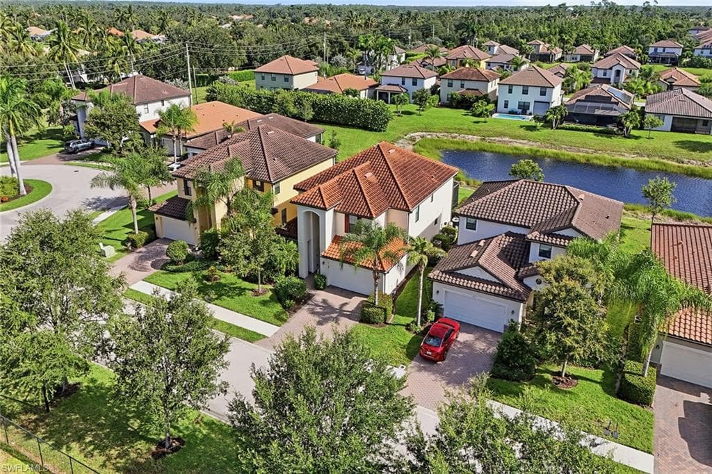 4381 Madagascar Palm WAY-42