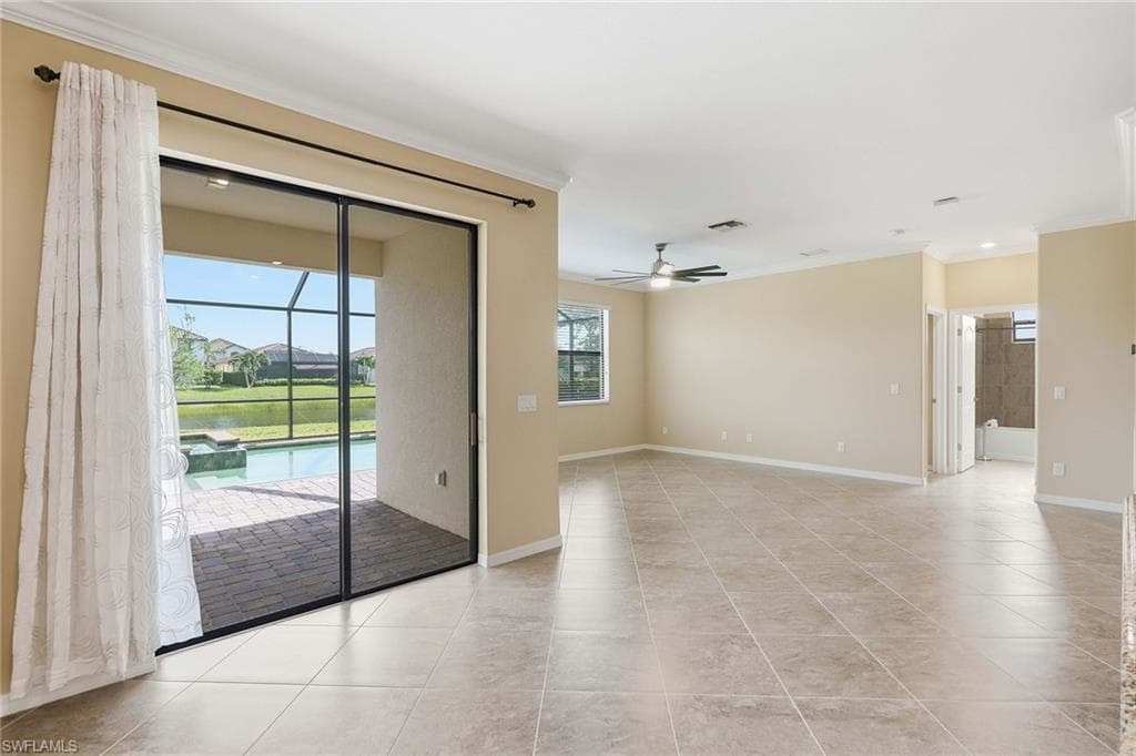 4381 Madagascar Palm WAY-13