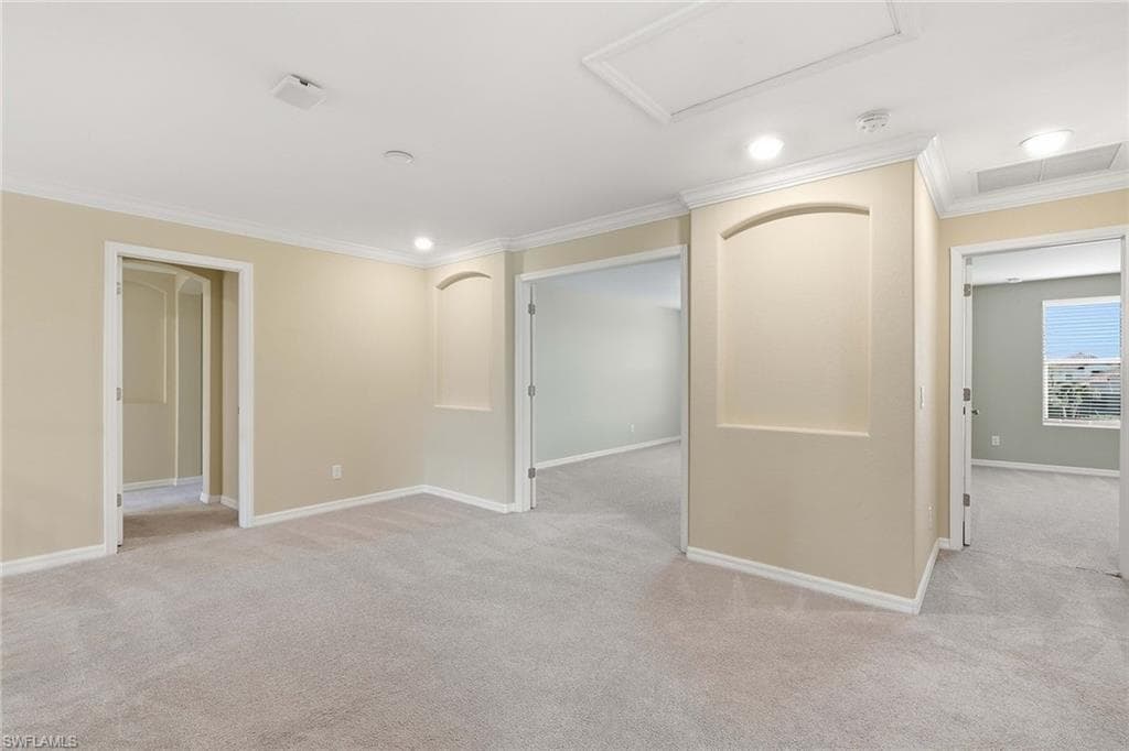 4381 Madagascar Palm WAY-22