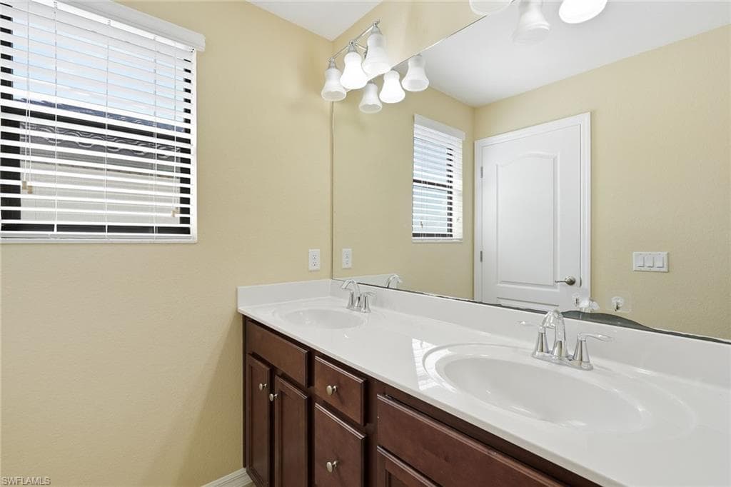 4381 Madagascar Palm WAY-32