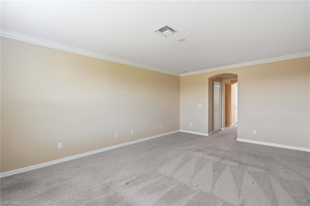 4381 Madagascar Palm WAY-28