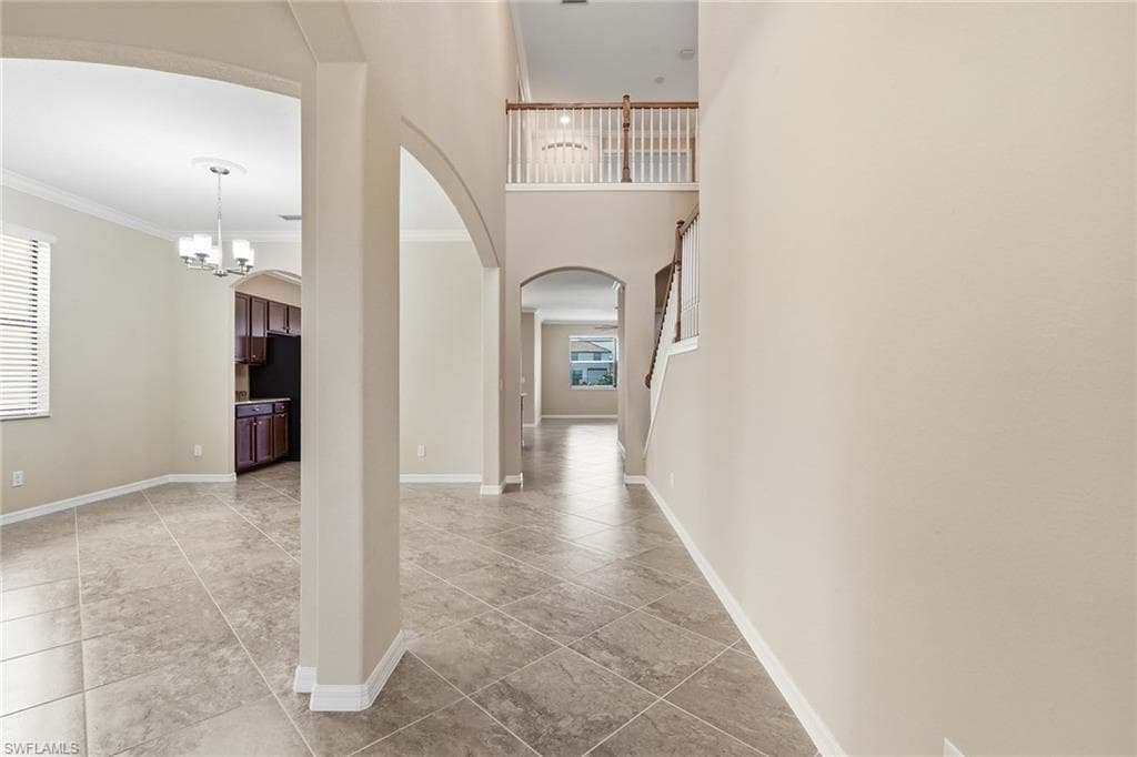4381 Madagascar Palm WAY-5