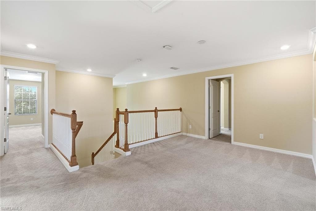 4381 Madagascar Palm WAY-20