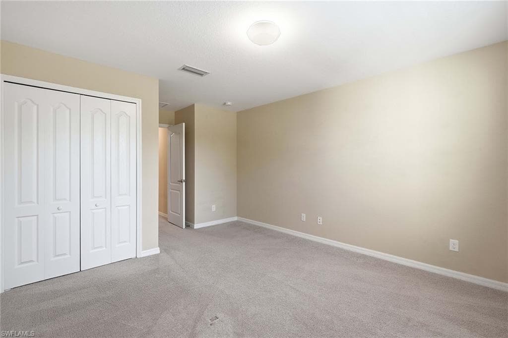 4381 Madagascar Palm WAY-34