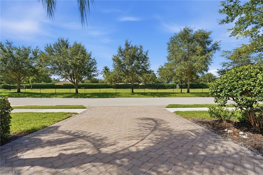4381 Madagascar Palm WAY-41