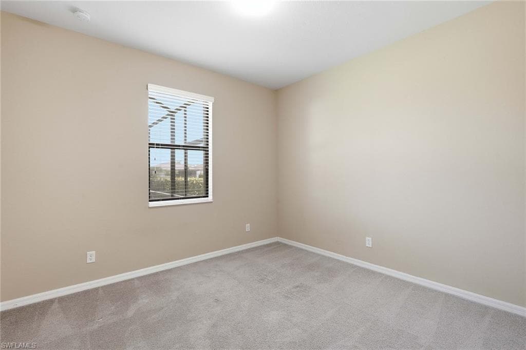4381 Madagascar Palm WAY-19