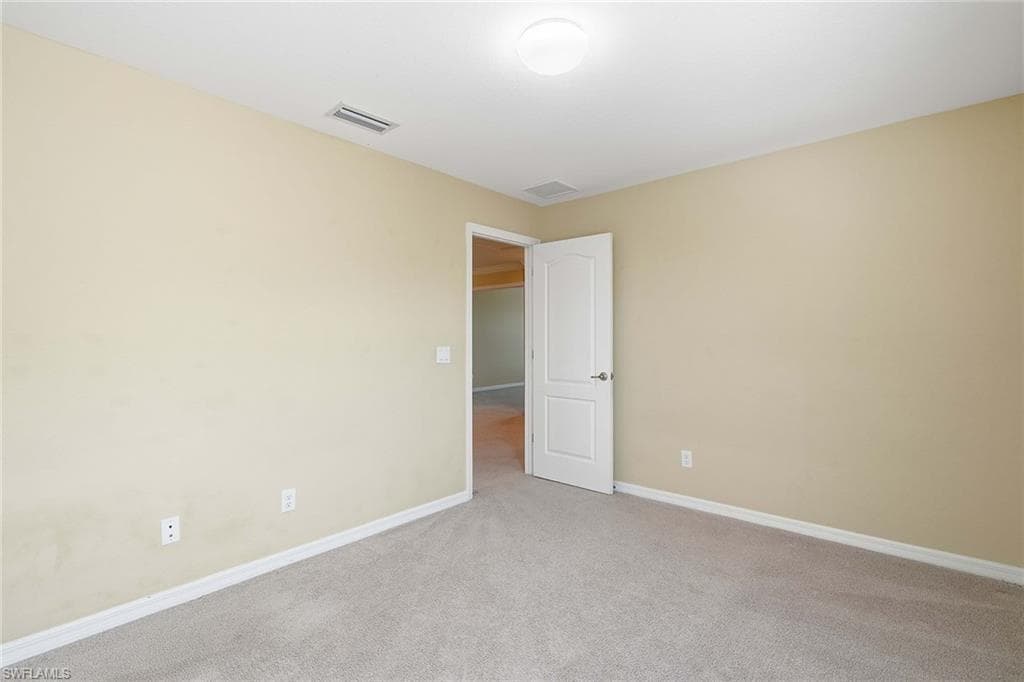4381 Madagascar Palm WAY-35