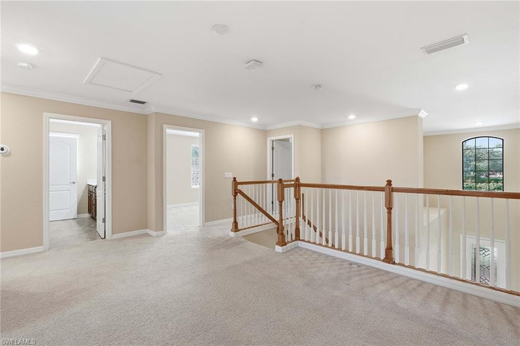 4381 Madagascar Palm WAY-21