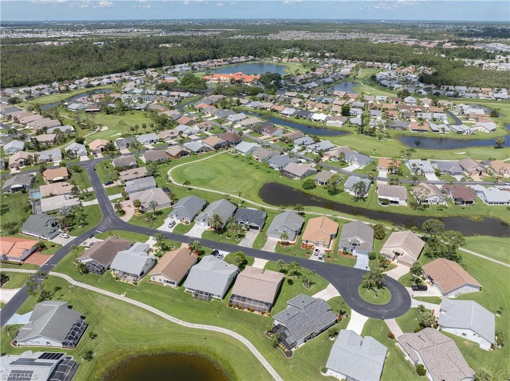 17761 Pineapple Palm CT-6