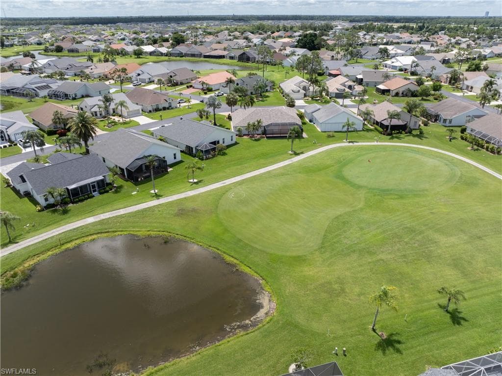 17761 Pineapple Palm CT-13