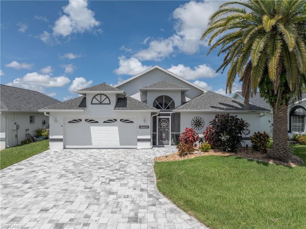 17761 Pineapple Palm CT-1