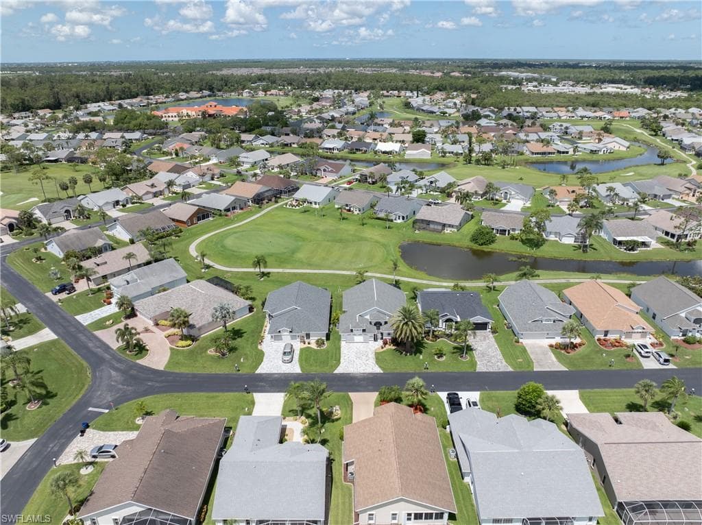 17761 Pineapple Palm CT-5