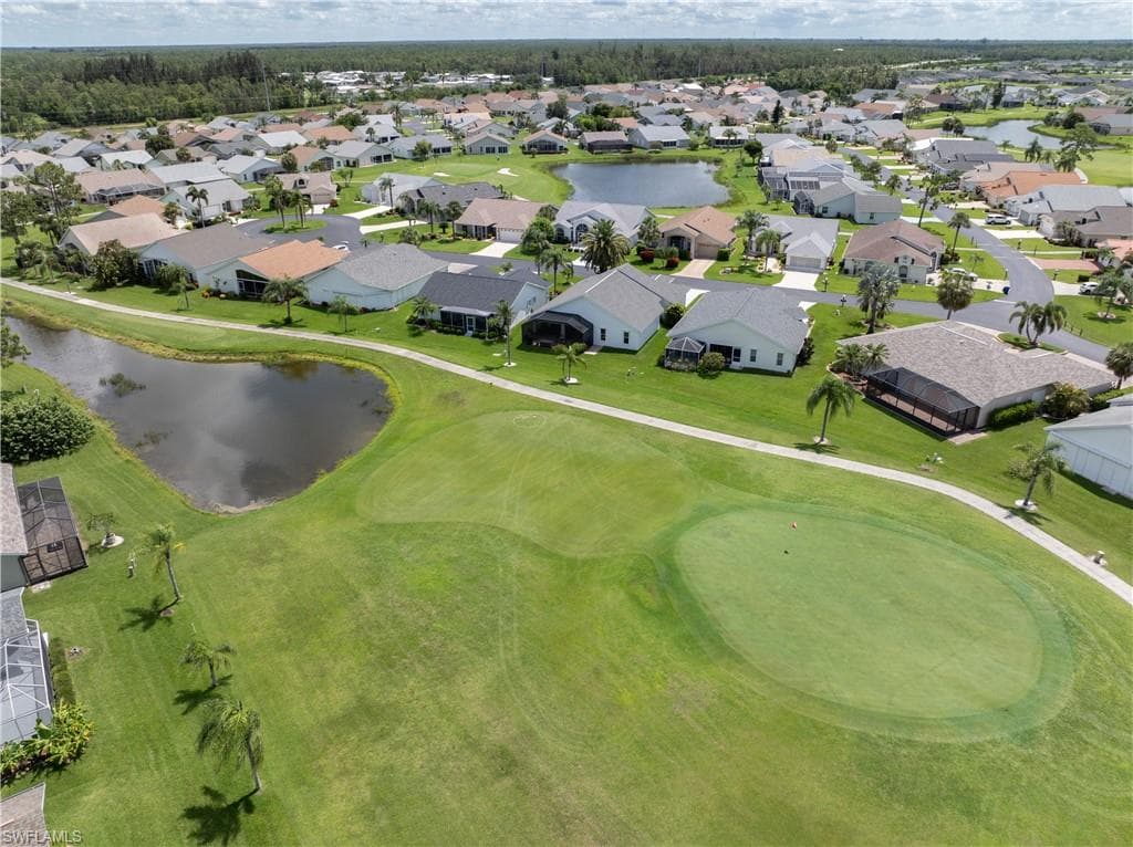 17761 Pineapple Palm CT-9