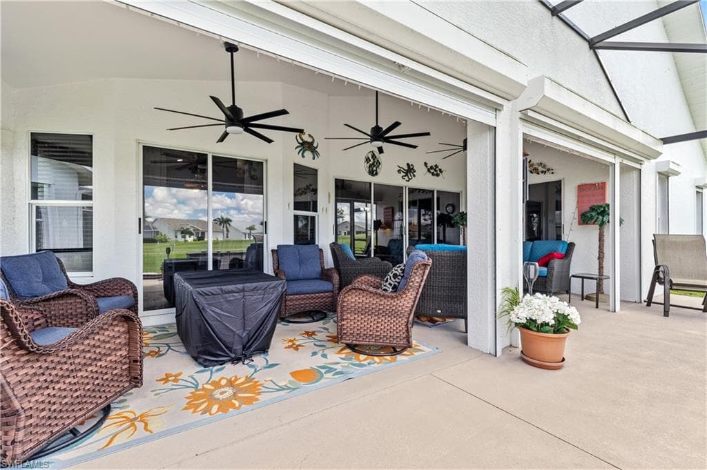 17761 Pineapple Palm CT-37