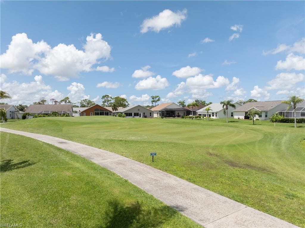 17761 Pineapple Palm CT-11