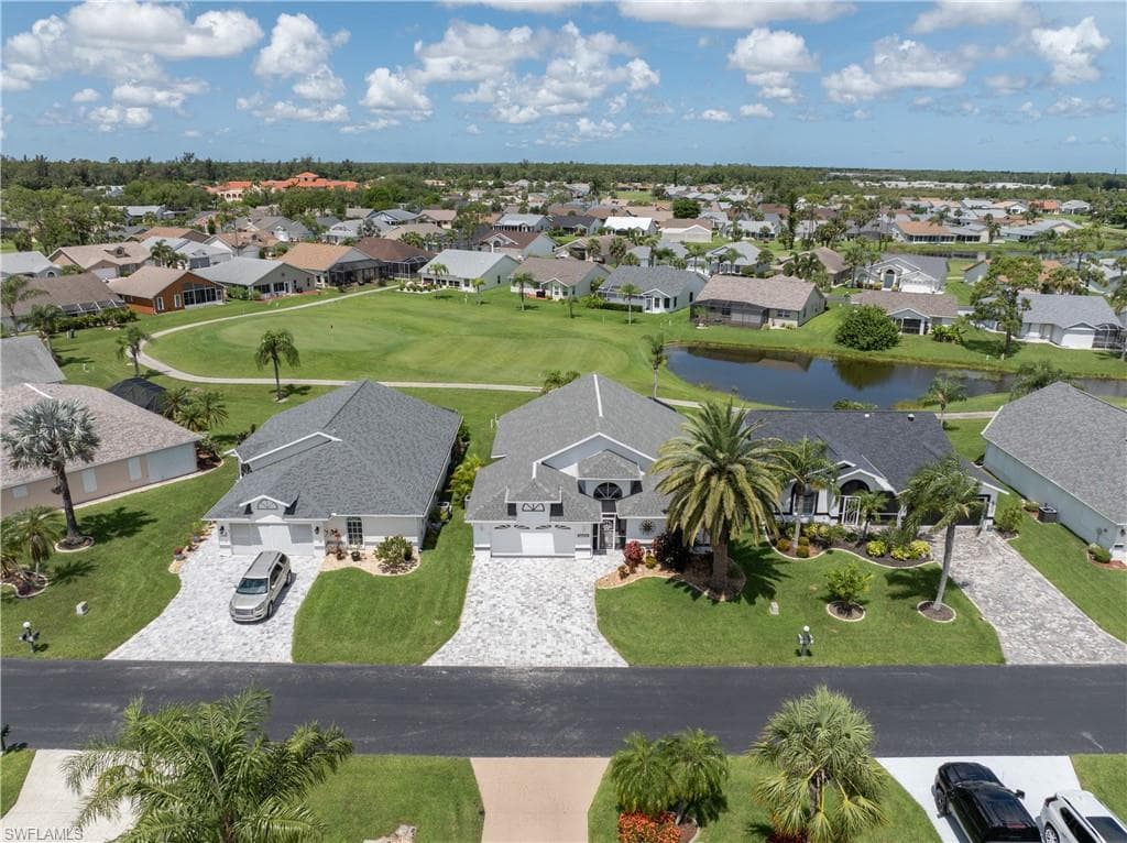 17761 Pineapple Palm CT-4