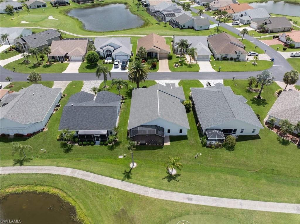 17761 Pineapple Palm CT-8