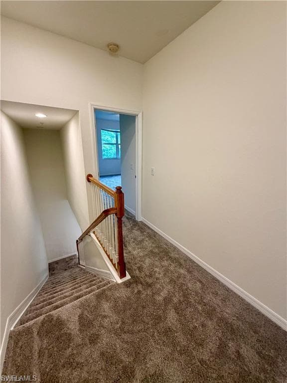 4381 Lazio WAY 502-9