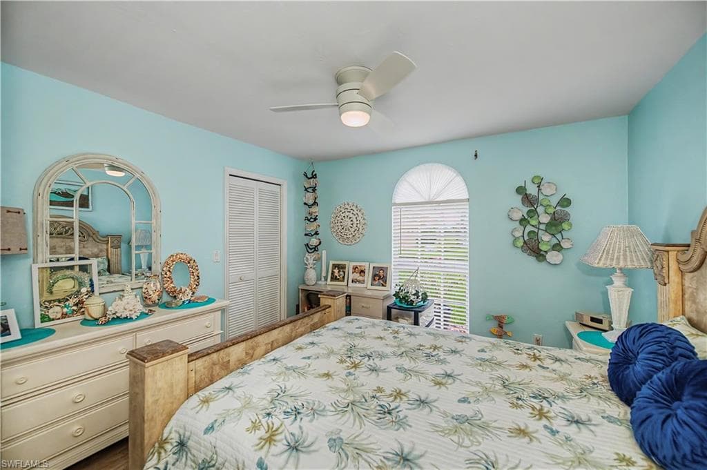 17751 Pineapple Palm CT-27