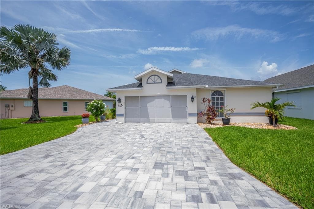 17751 Pineapple Palm CT-2