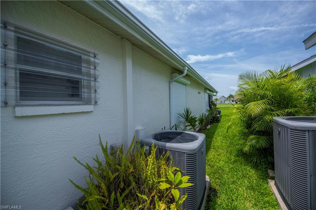 17751 Pineapple Palm CT-42