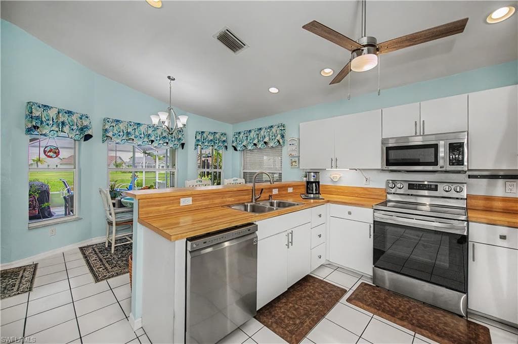 17751 Pineapple Palm CT-17