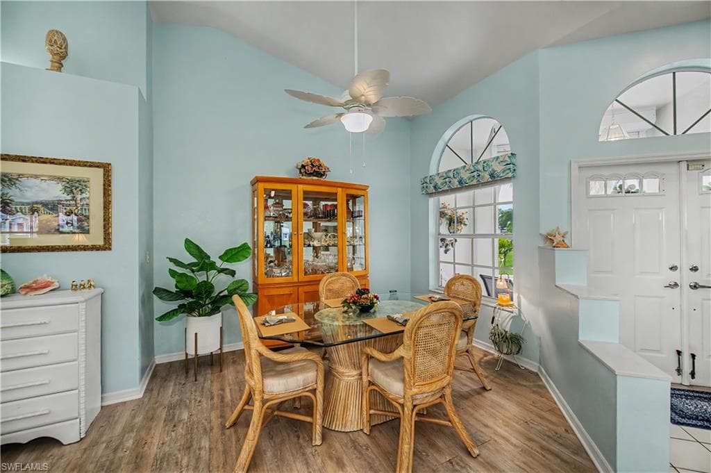 17751 Pineapple Palm CT-12