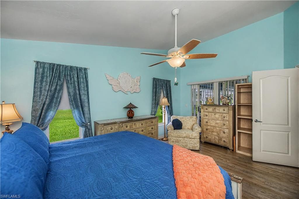 17751 Pineapple Palm CT-22