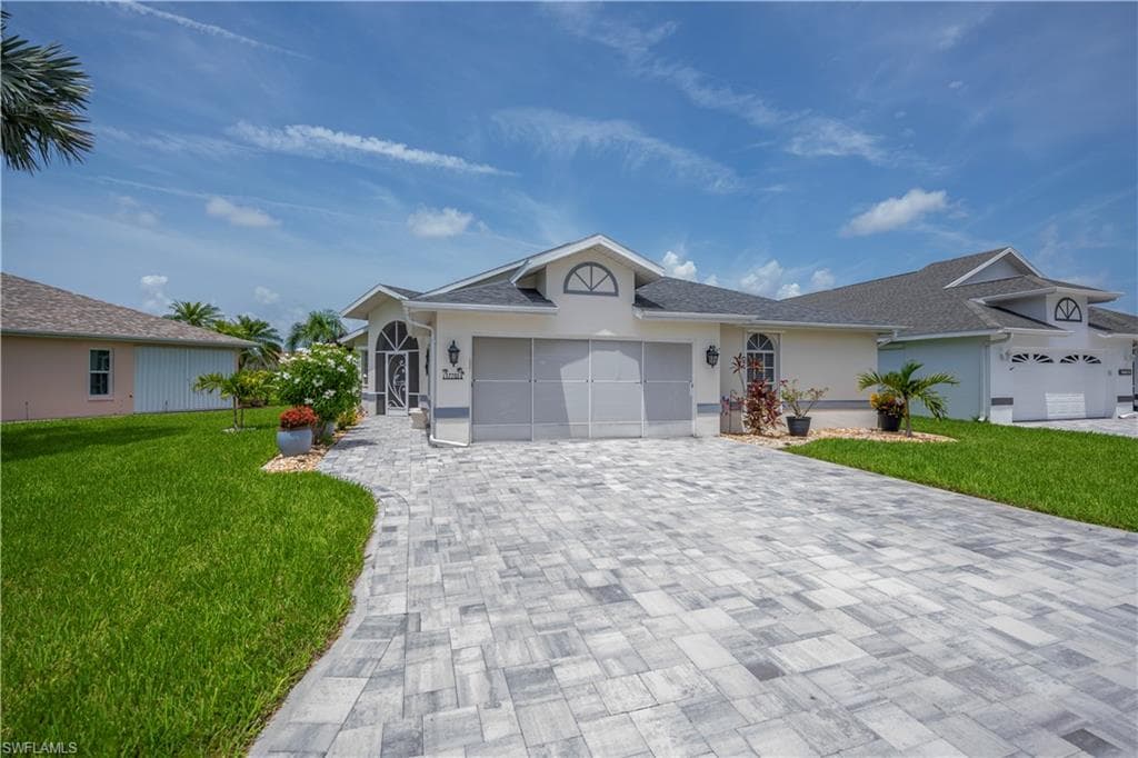 17751 Pineapple Palm CT-3