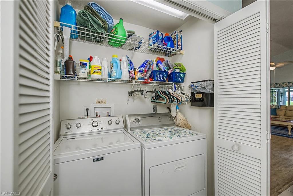 17751 Pineapple Palm CT-32