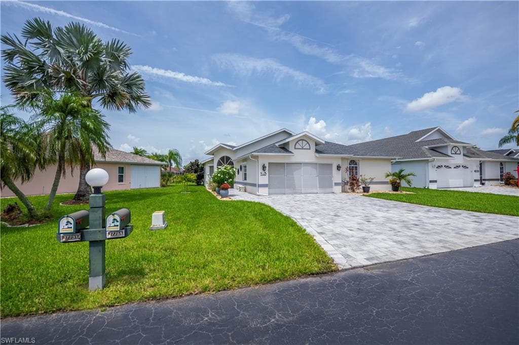 17751 Pineapple Palm CT-1