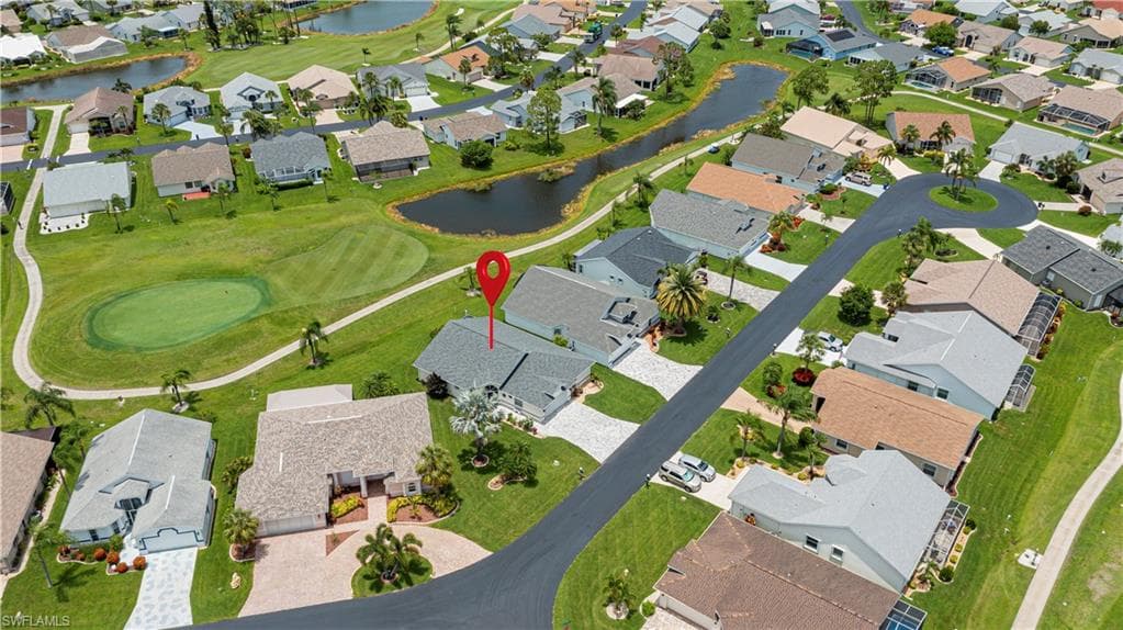 17751 Pineapple Palm CT-5
