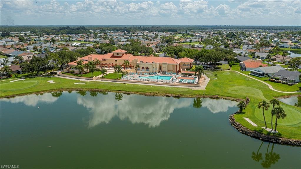 17751 Pineapple Palm CT-50