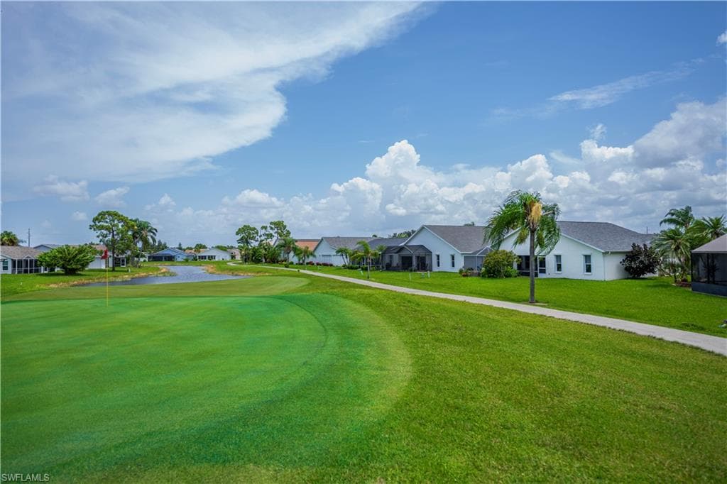 17751 Pineapple Palm CT-44