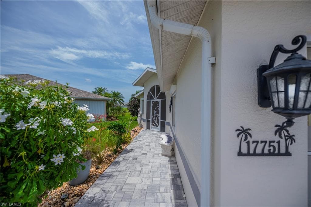 17751 Pineapple Palm CT-4
