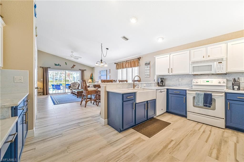 9660 Pineapple Preserve CT-7