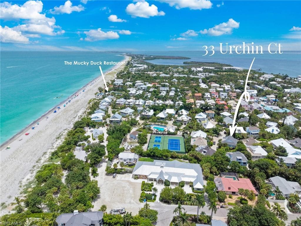 33 Urchin CT-3