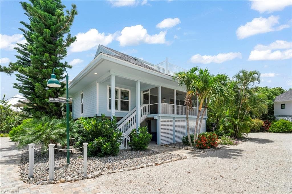 33 Urchin CT-36