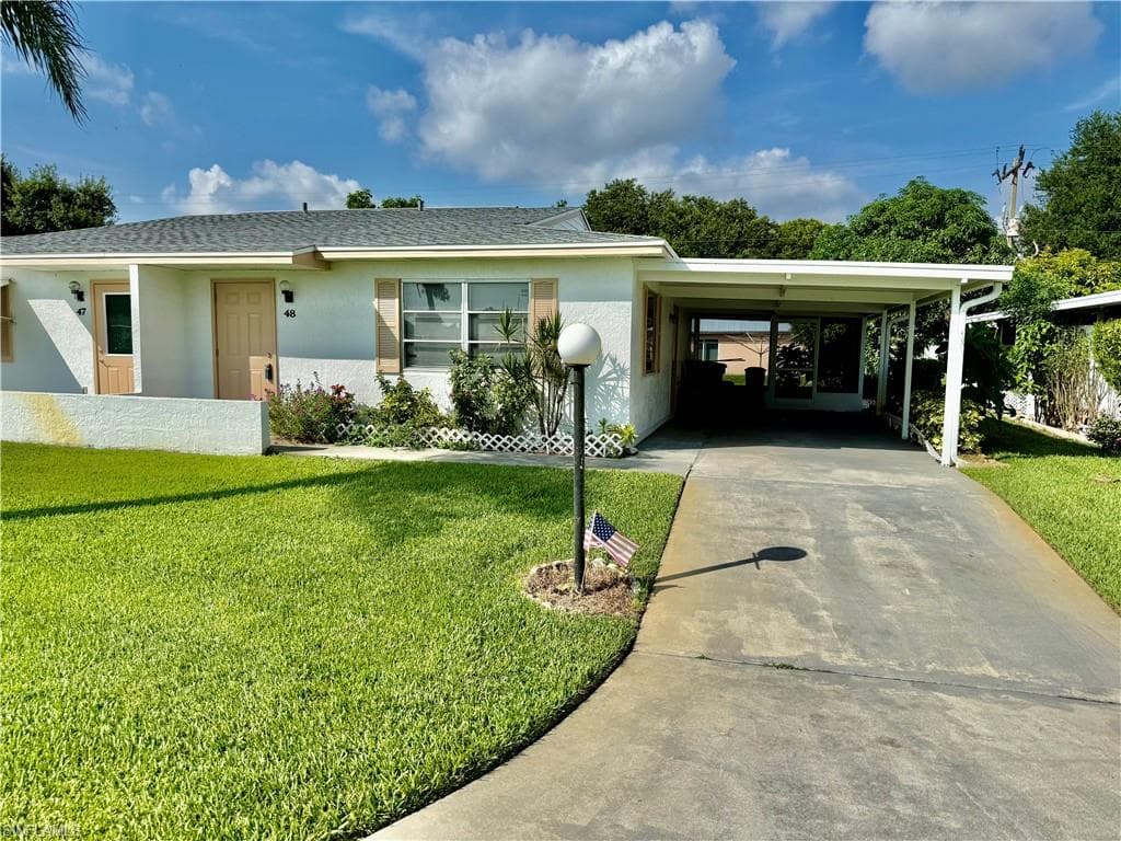 48 Heath Aster LN-2