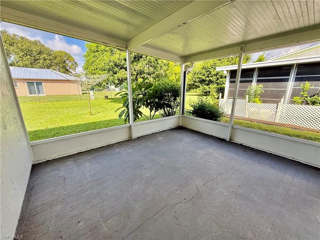 48 Heath Aster LN-6