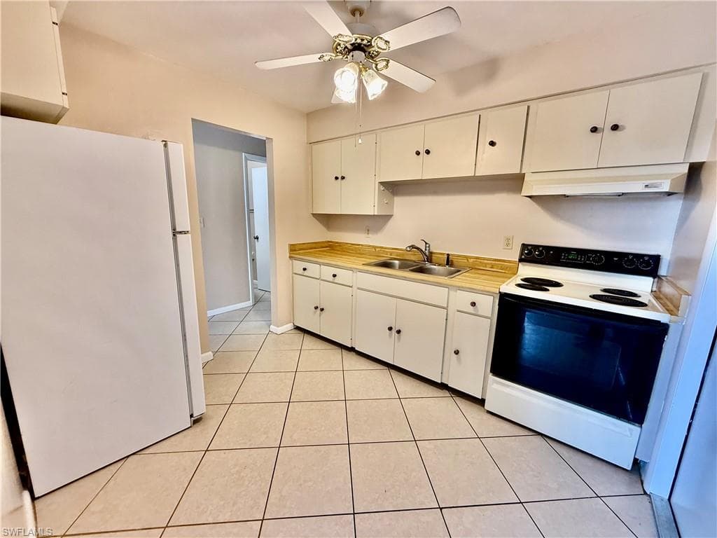 48 Heath Aster LN-13