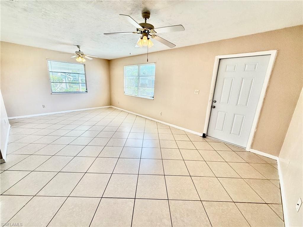 48 Heath Aster LN-12