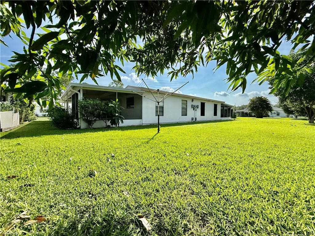 48 Heath Aster LN-7