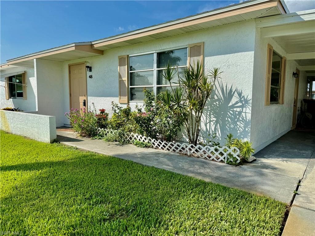 48 Heath Aster LN-3