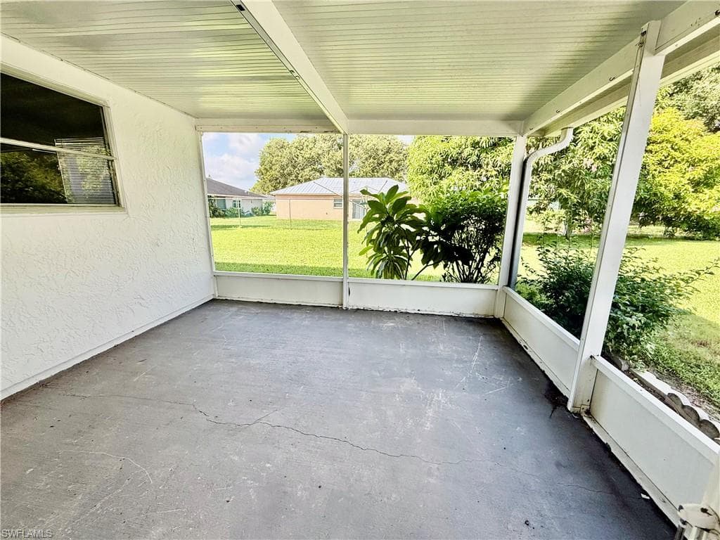48 Heath Aster LN-5