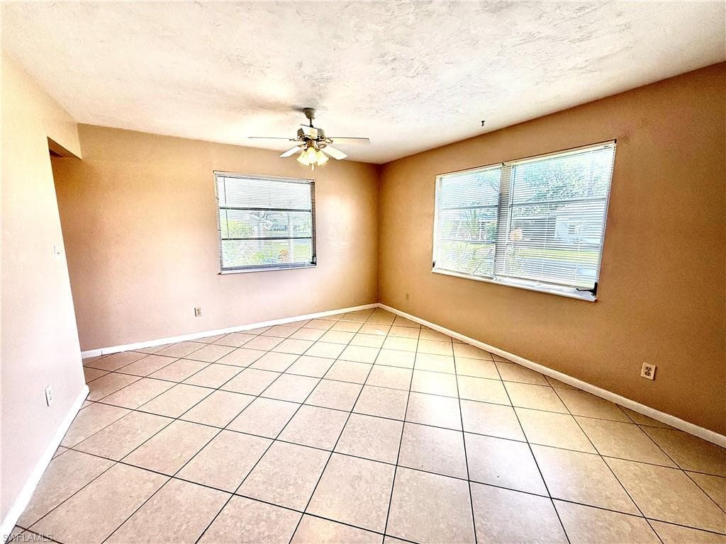 48 Heath Aster LN-10