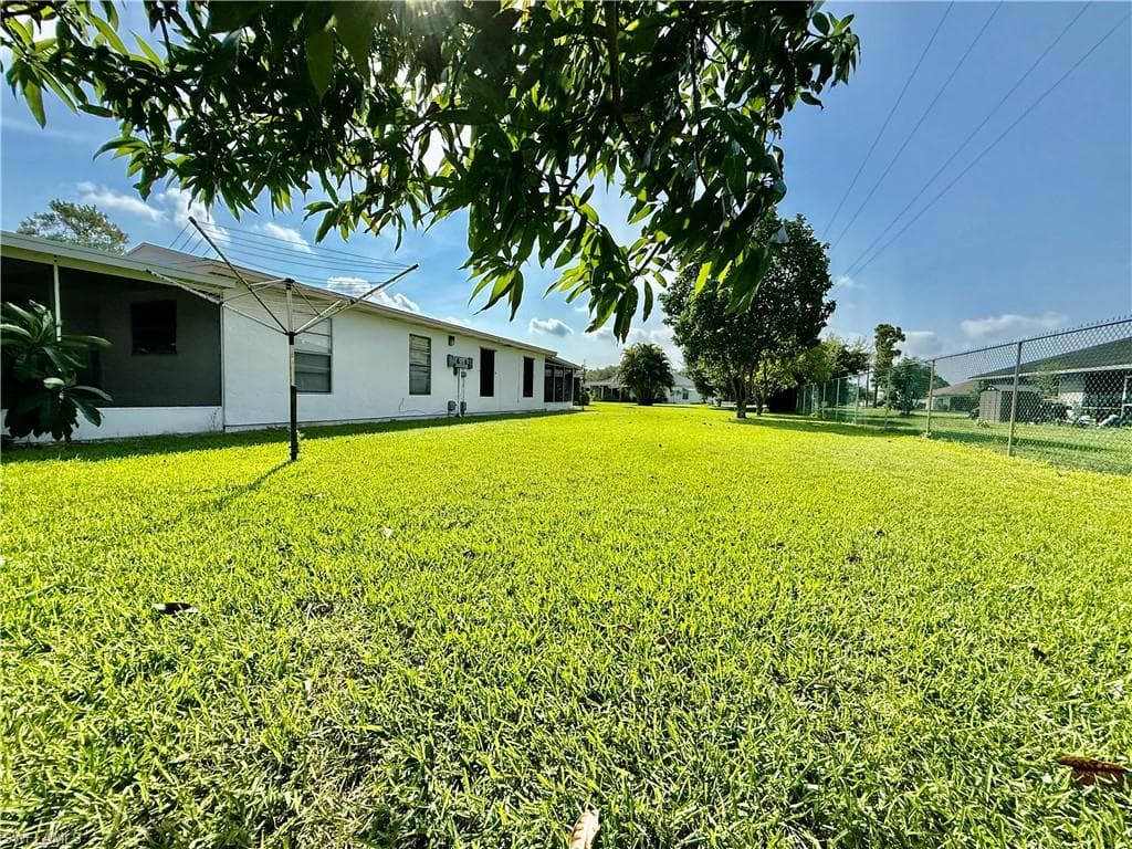 48 Heath Aster LN-8