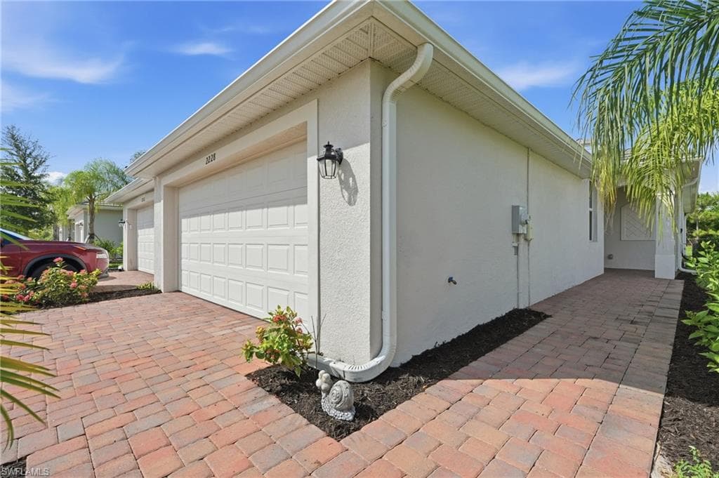 2228 Dragonfruit WAY-2